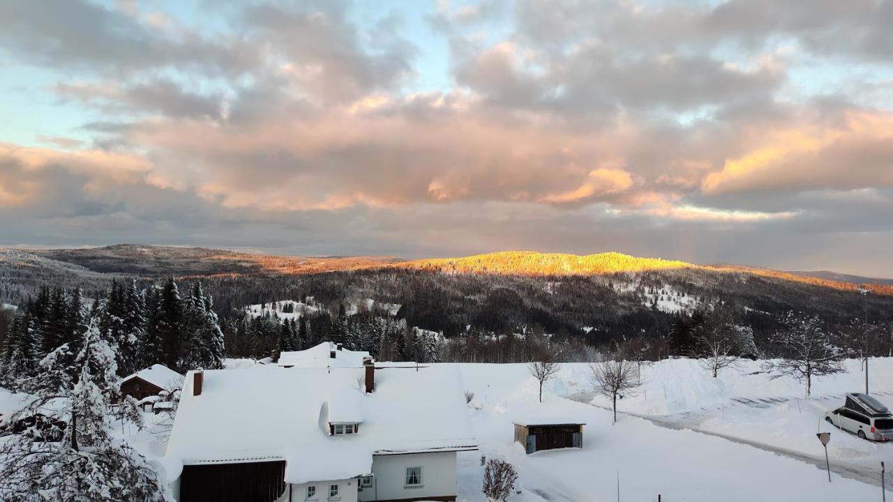 Two Apartaments Almberg - Mitterdorf-Mitterfirmiansreut Bagian luar foto