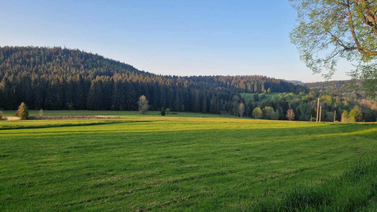 Two Apartaments Almberg - Mitterdorf-Mitterfirmiansreut Bagian luar foto
