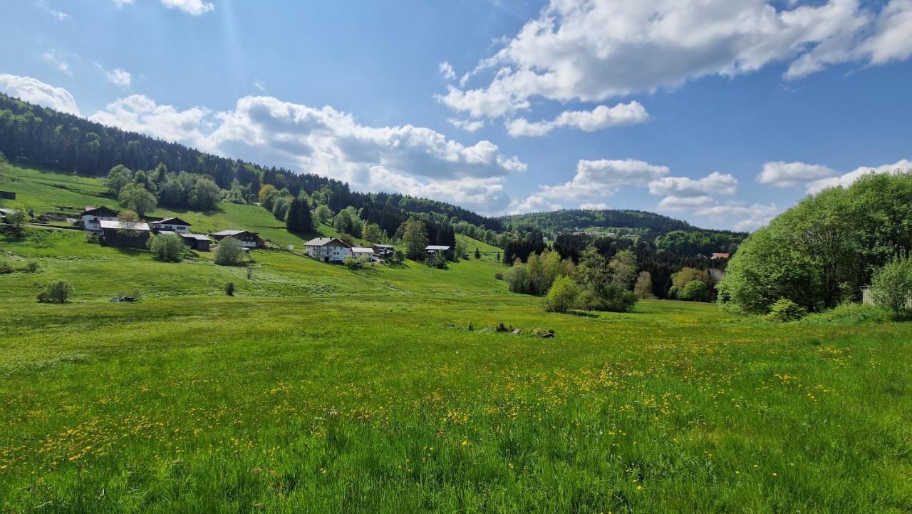 Two Apartaments Almberg - Mitterdorf-Mitterfirmiansreut Bagian luar foto