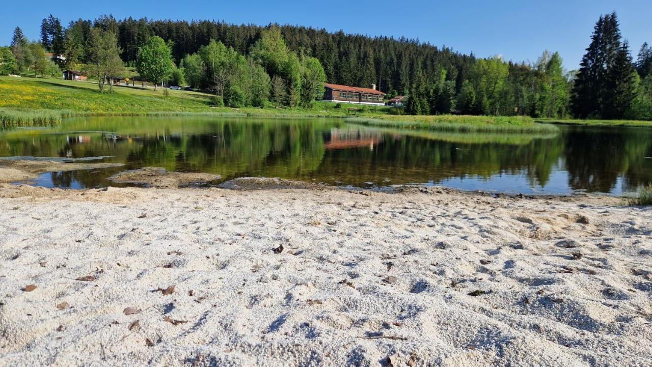 Two Apartaments Almberg - Mitterdorf-Mitterfirmiansreut Bagian luar foto