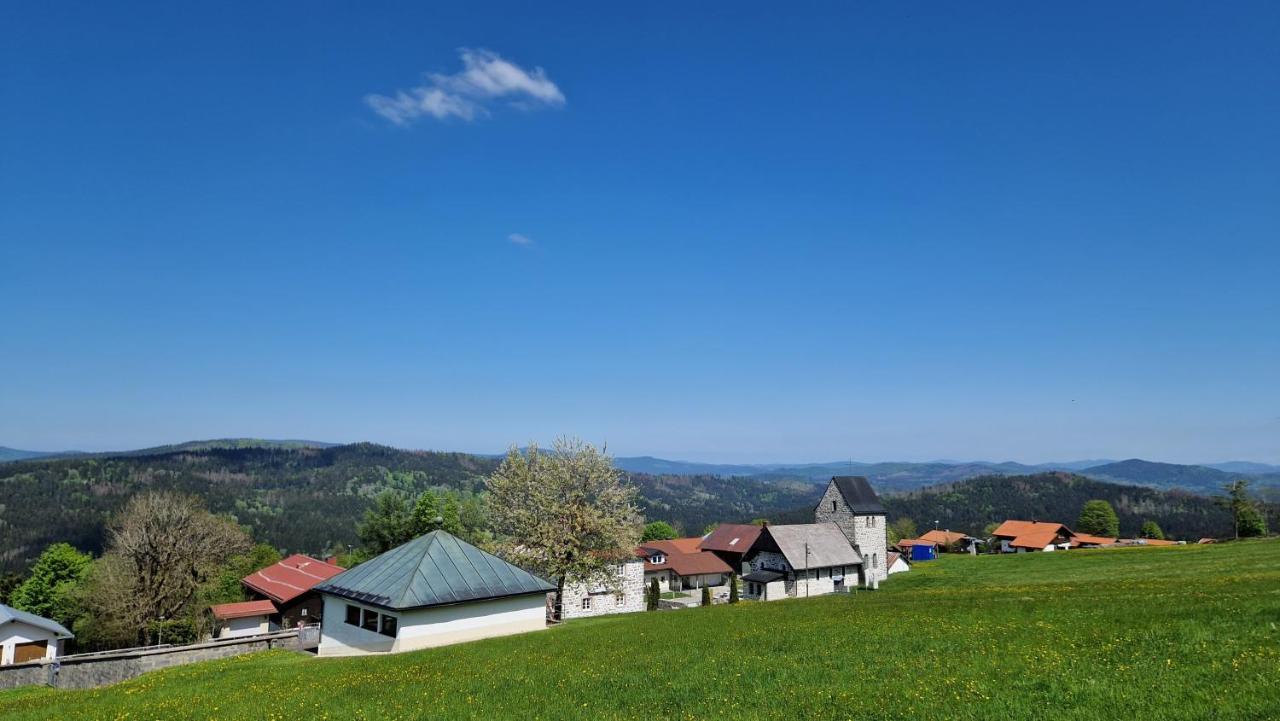 Two Apartaments Almberg - Mitterdorf-Mitterfirmiansreut Bagian luar foto